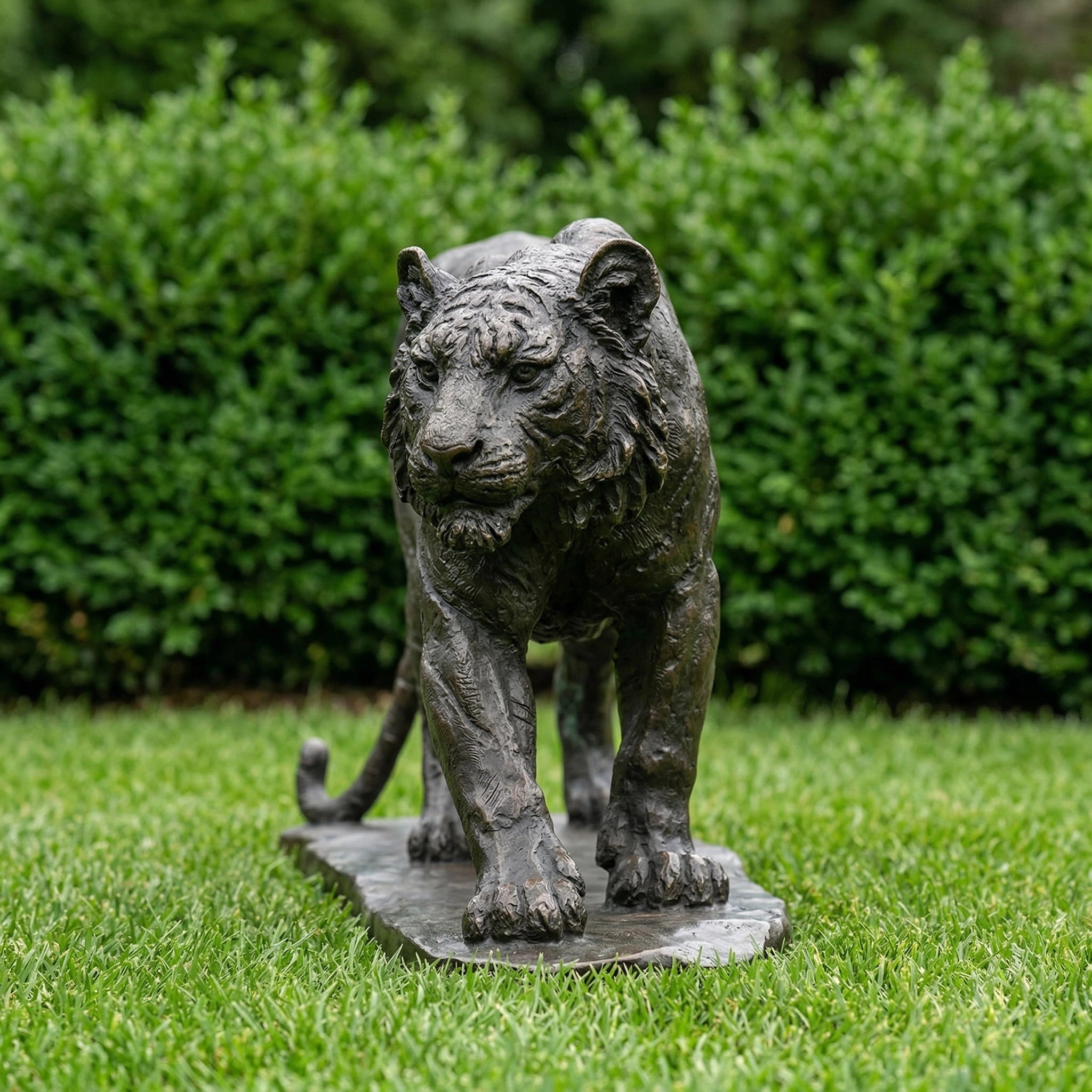 Vela-Bronze--Brass-Tiger-Sculpture-Forward-Stepping-VBS-6842-01