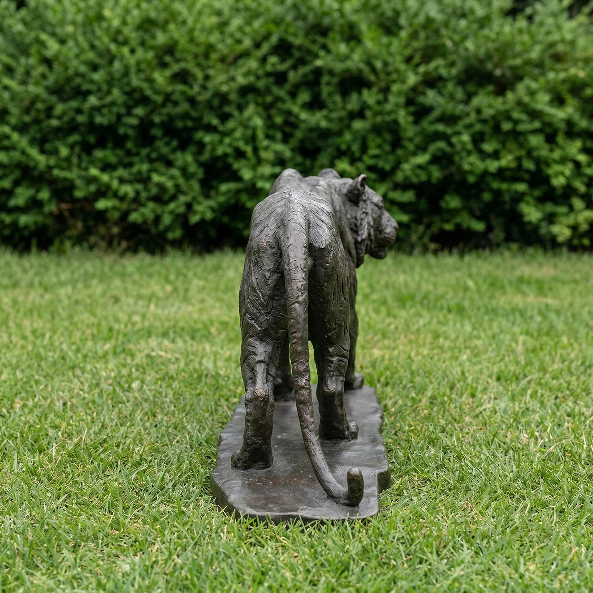 Vela-Bronze--Brass-Tiger-Sculpture-Forward-Stepping-VBS-6842-02