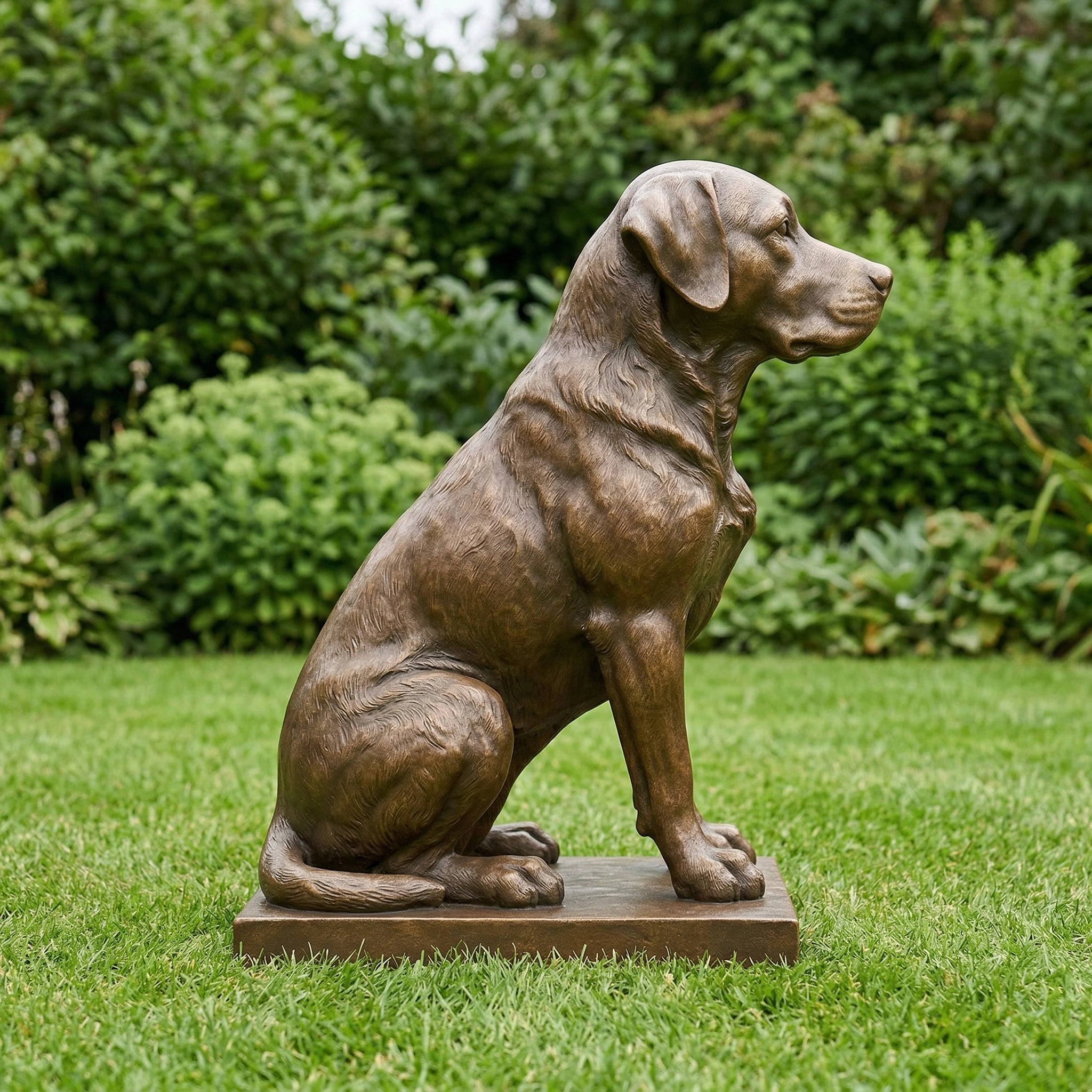 Vela-Bronze--Brass-Wildlife--Nature-Sculpture-Seated-Dog-Garden-Plinth-VSBS-482-04